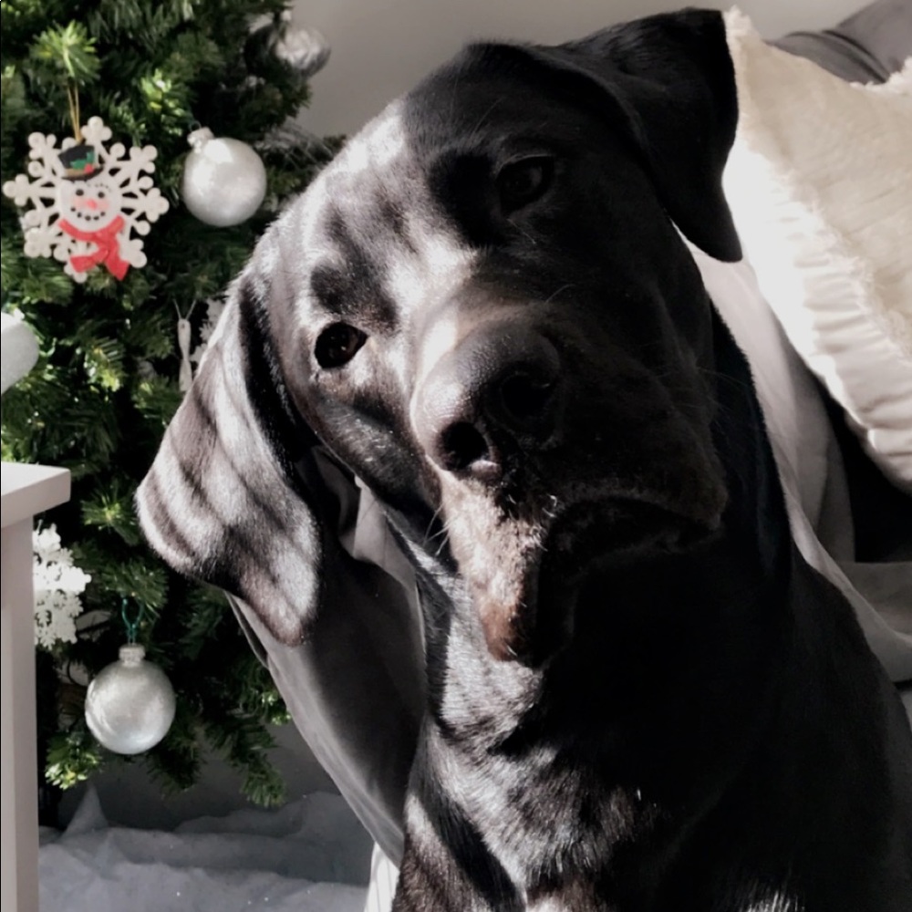 Meet your Posher, Mckenzie